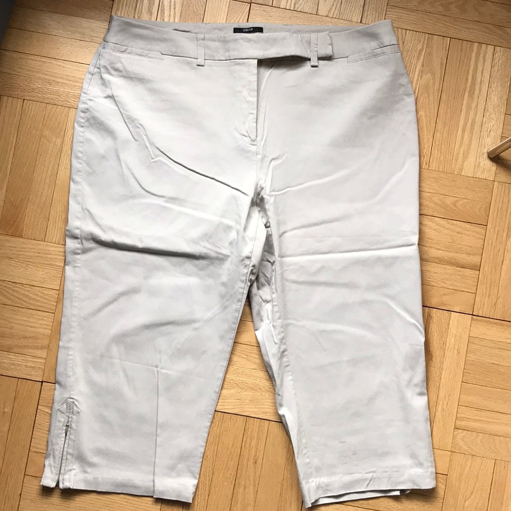 Style & Co Beige stretch Crops 18W